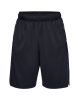 Under Armour Baseline Practice Shorts Svart